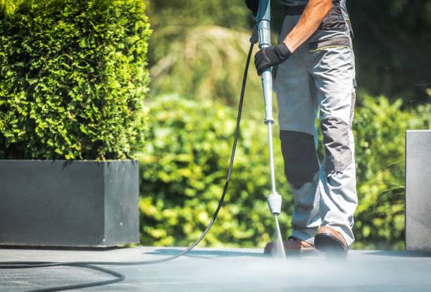 Best Spring Cleaning  in West Canton, NC